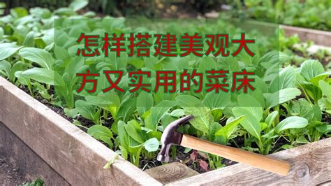 菜床|怎样搭建美观大方又实用的菜床：材料，尺寸，土壤配置，计算土。